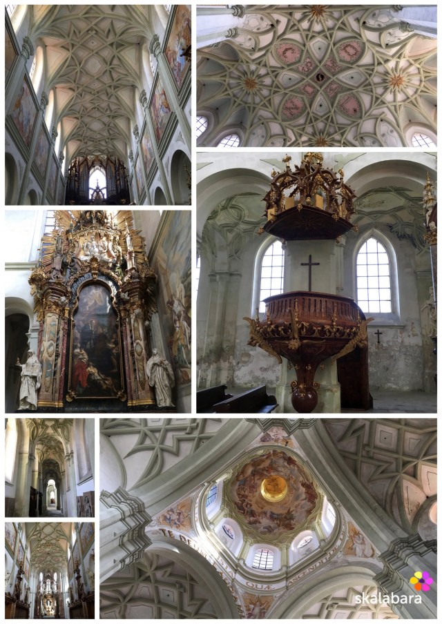 santini - kladruby collage