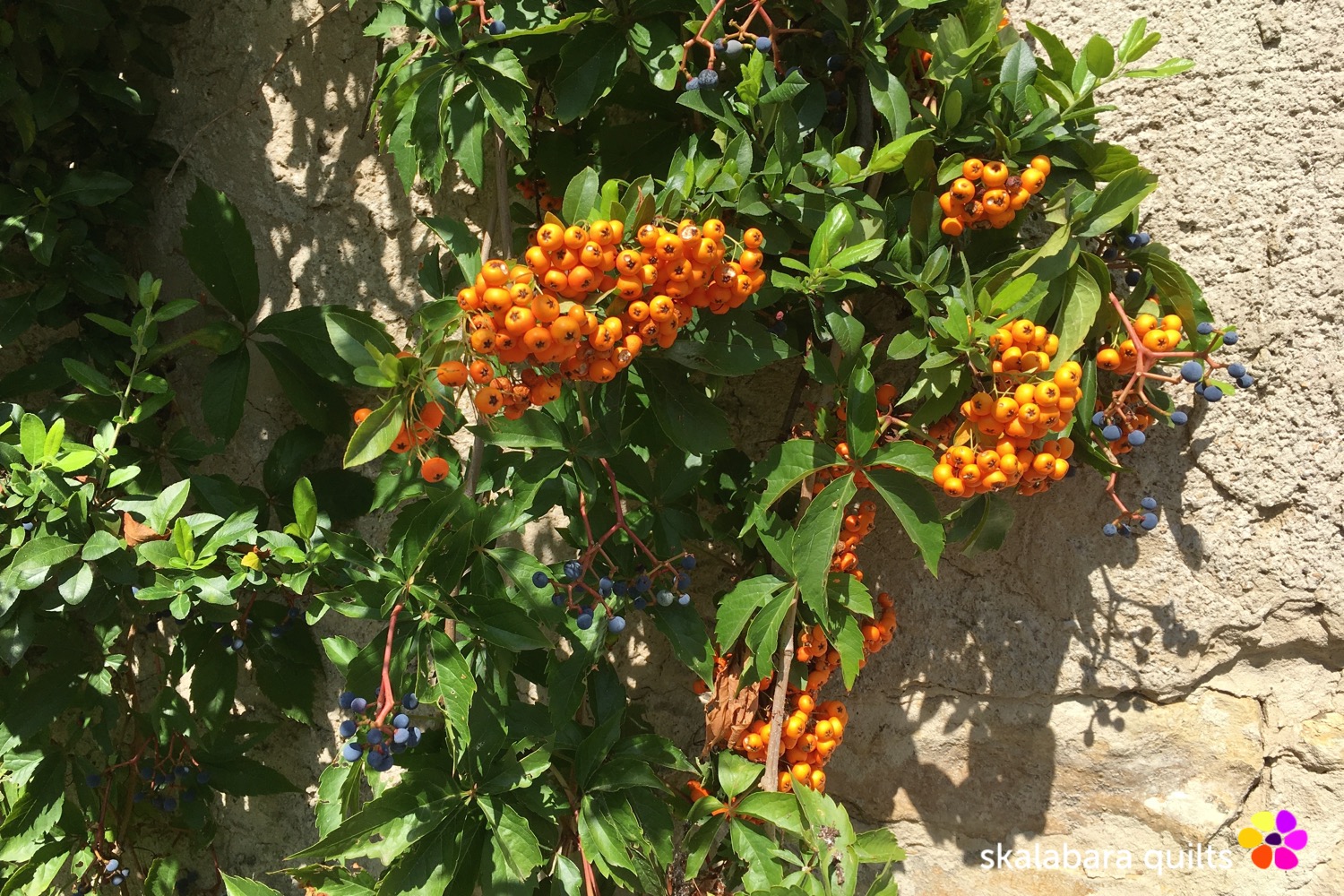 autumn berries 1 - skalabara quilts