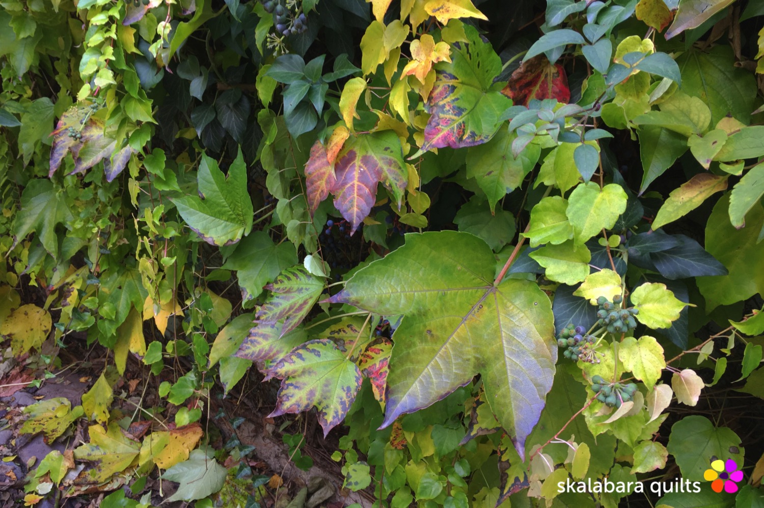 autumn impressions prague 4 - skalabara quilts